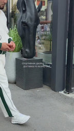 Tenue Motion – video